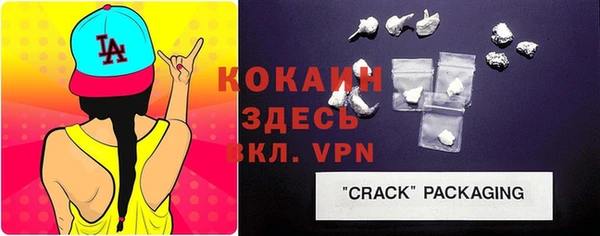 стаф Нея