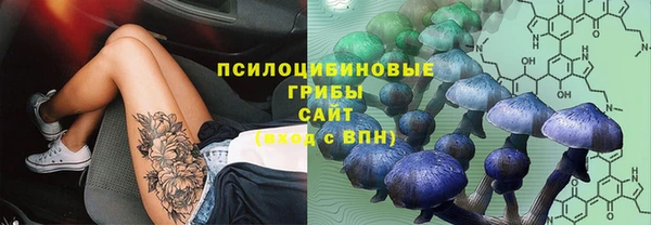 шишки Новокубанск