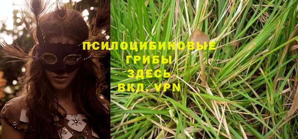 альфа пвп Нефтегорск