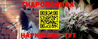 гашик Балахна