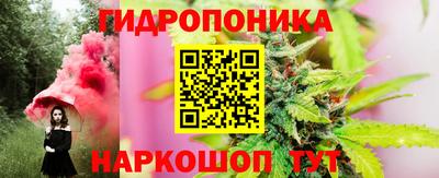 гашик Балахна