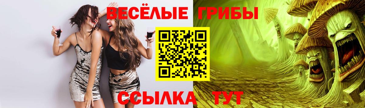 Псилоцибиновые грибы Magic Shrooms  Вход с VPN  Владимир 